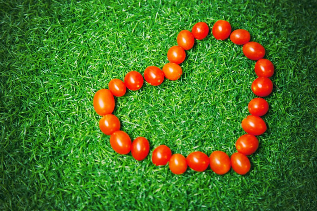 Heart made out of tomatoes on a grass background