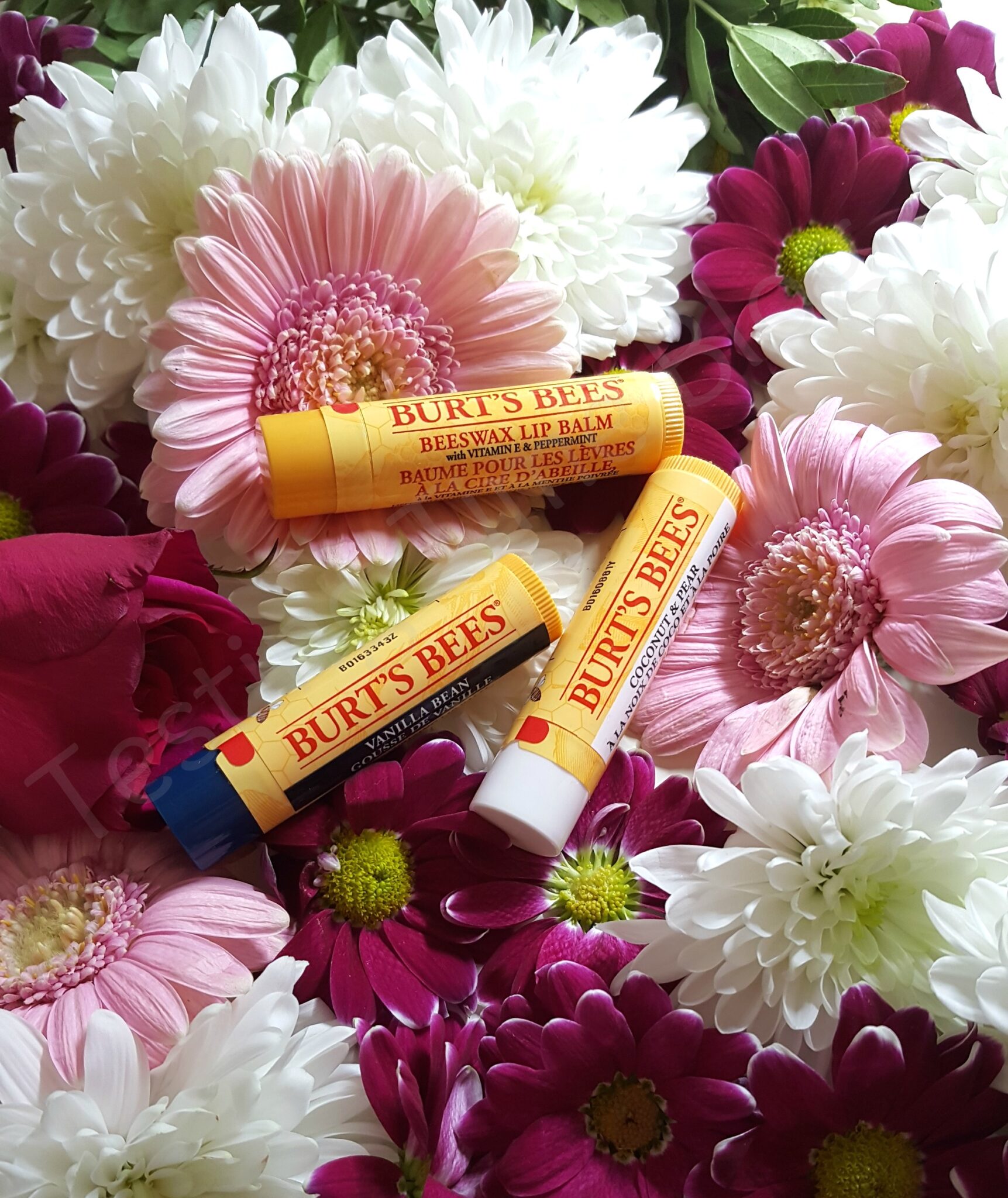 The Delightful Burt's Bees Lip Balm Review - Testing Time Blog