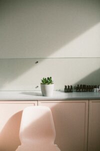 Chair in an office with plants