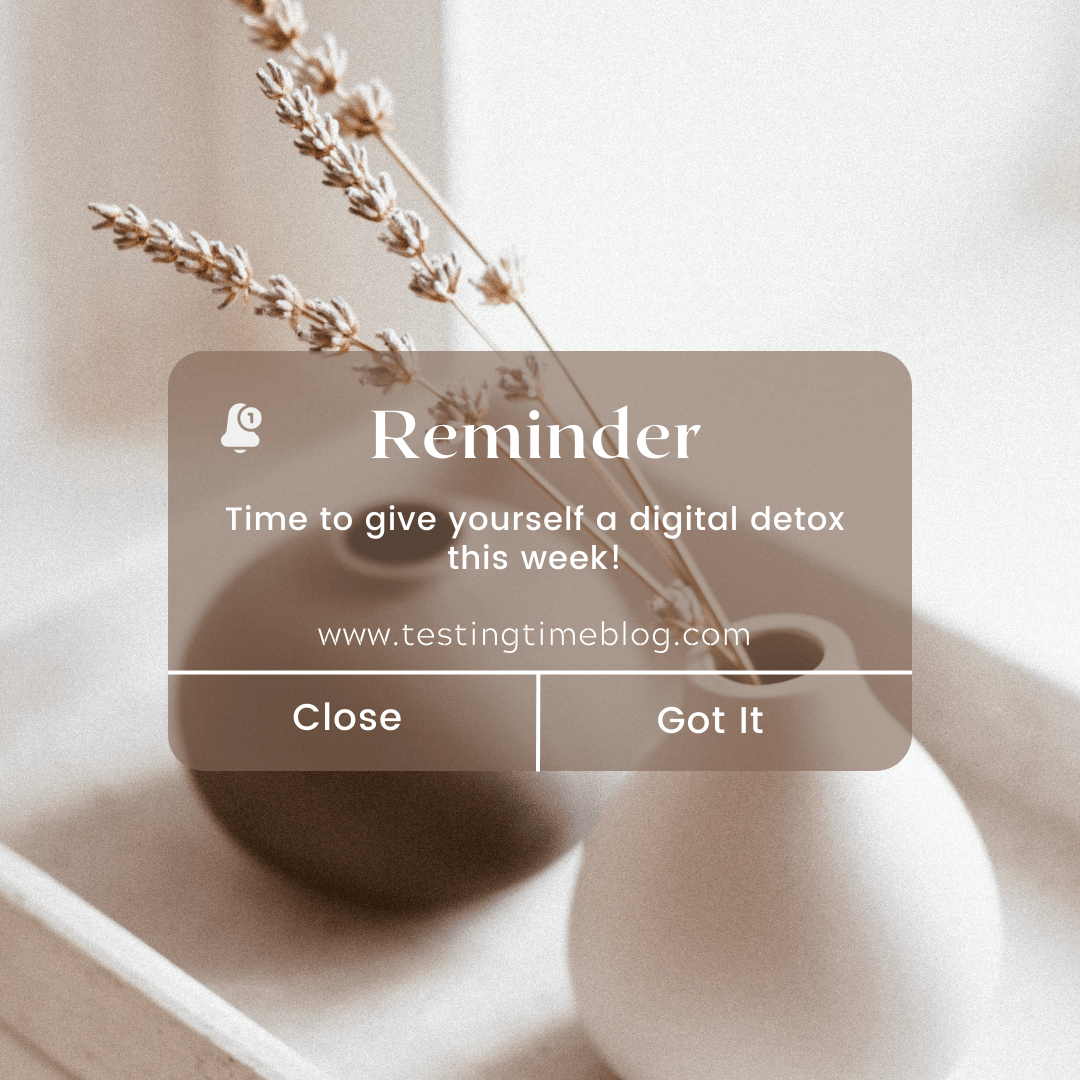 Vases with dried foliage with a pop up over it, like a text message saying reminder, time to give yourself a digital detox this week