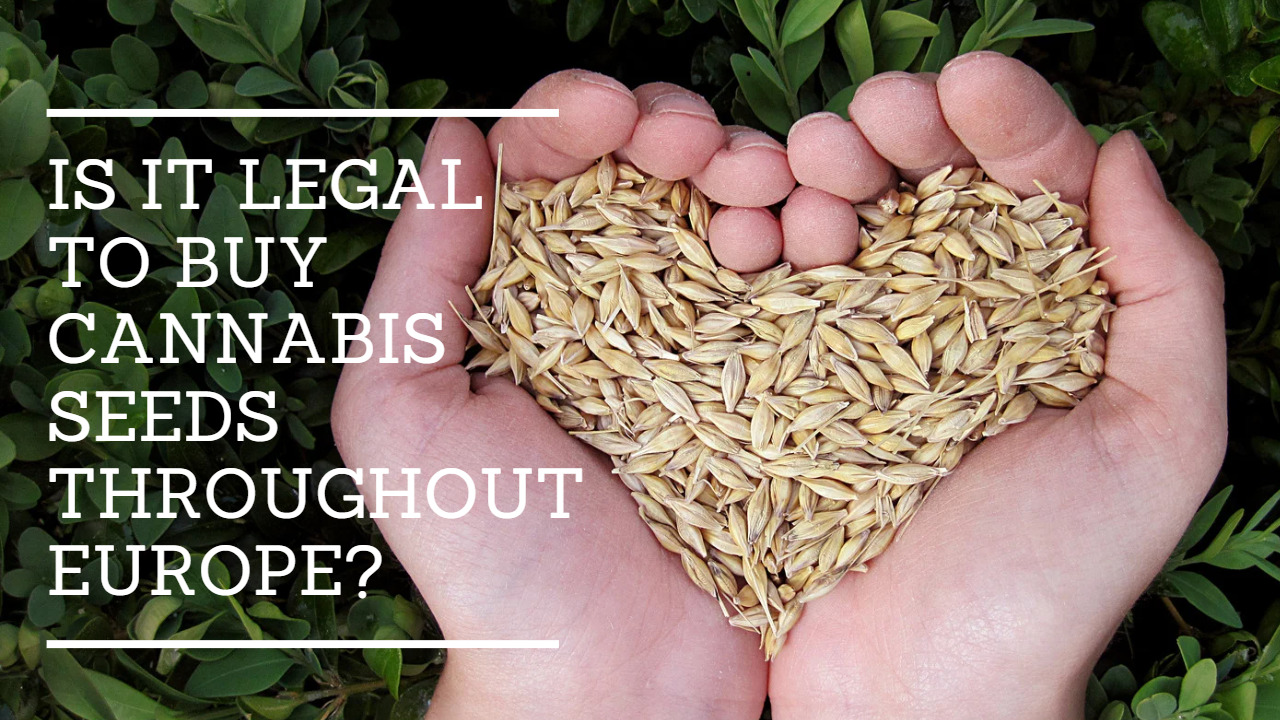 Is it legal to buy cannabis seeds throughout Europe?