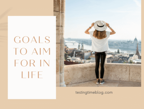 Goals to Aim for in Life