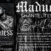 Madness by Shantel Tessier Book Review