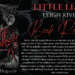 Little Liar by Leigh Rivers Book Review