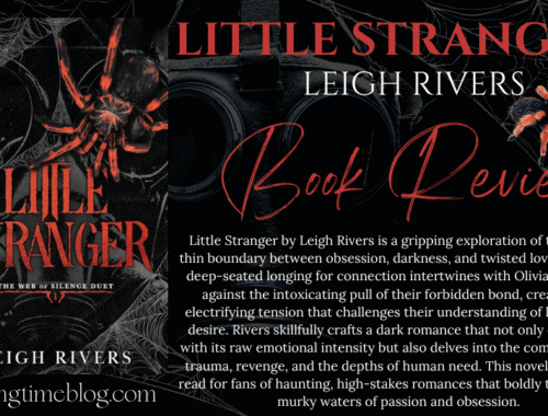 Little Stranger by Leigh Rivers Book Review Web of Lies Series