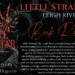 Little Stranger by Leigh Rivers Book Review Web of Lies Series