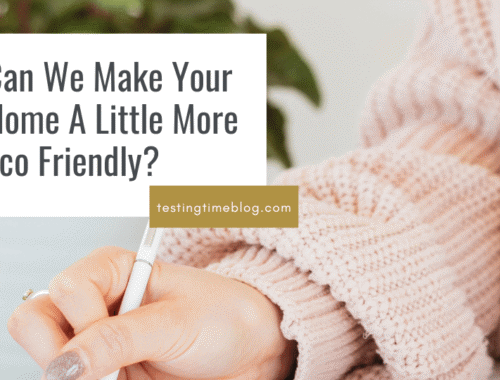 Can We Make Your Home A Little More Eco Friendly?