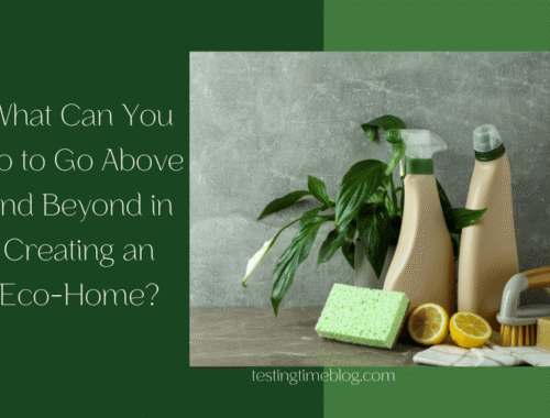 What Can You Do to Go Above and Beyond in Creating an Eco-Home?