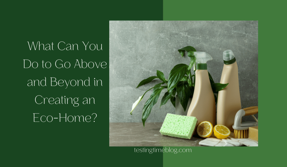 What Can You Do to Go Above and Beyond in Creating an Eco-Home?