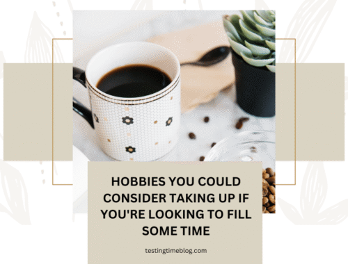 Hobbies You Could Consider Taking Up If You're Looking To Fill Some Time