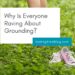 Why Is Everyone Raving About Grounding?