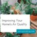 Improving Your Home's Air Quality