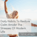 Daily Habits To Restore Calm Amidst The Stresses Of Modern Life
