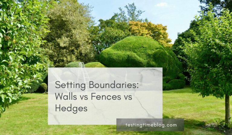 Setting Boundaries: Walls vs Fences vs Hedges - Testing Time Blog